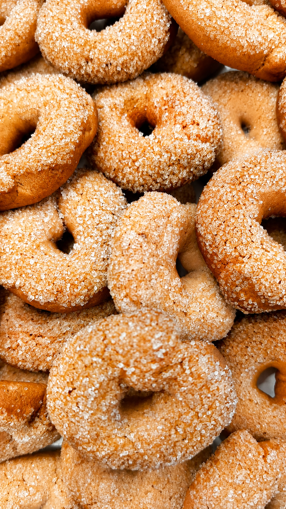 Dolci secchi artigianali — cantucci e biscotti del pastificio I Rebbi